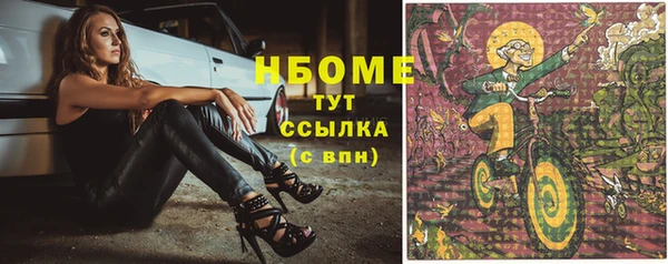 ПСИЛОЦИБИНОВЫЕ ГРИБЫ Гусь-Хрустальный