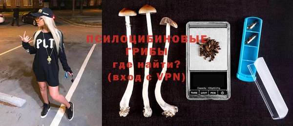 эйфоретик Гусиноозёрск